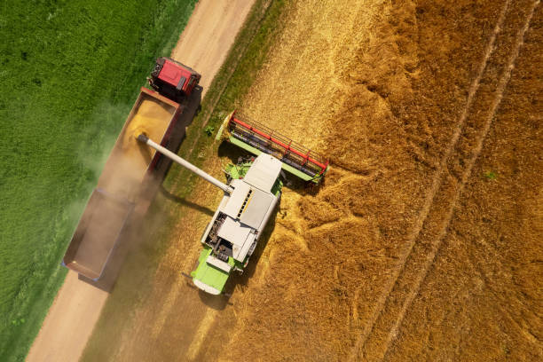 Wheat shortage, high trading prices, stockpiling. Aerial view of a combine harvester at work during harvest time. Agricultural background. stock photo