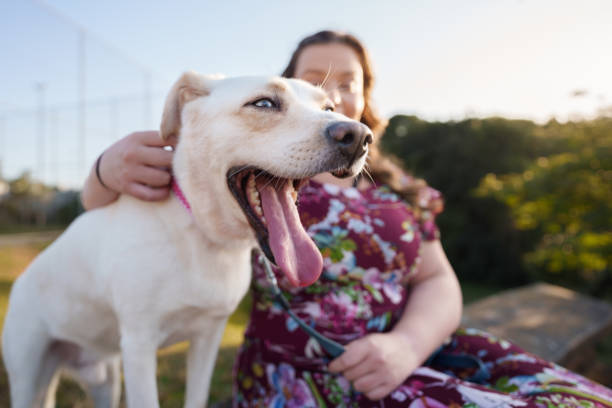 istock Dog yawning while having his ear stratched 1406691839