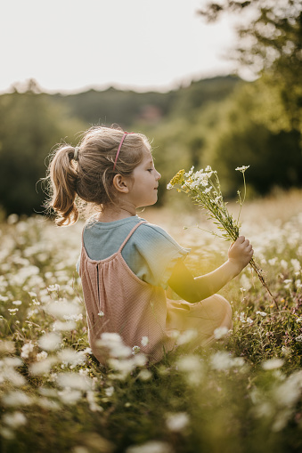 Little girl sitting on a meadow in nature and smelling flowers.