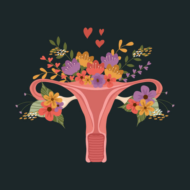 narząd macicy z kwiatami, zdrowie kobiet. pojęcie feminizmu. piękny żeński narząd rozrodczy i kwiaty. symbol żeński. ilustracja wektorowa. - flower anatomy stock illustrations