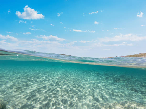 istock Split underwater view of La Speranza beaach clear water on a sunny day 1406698150