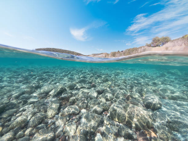 istock Split underwater view of La Speranza rocky seabed under a shining sun 1406699124