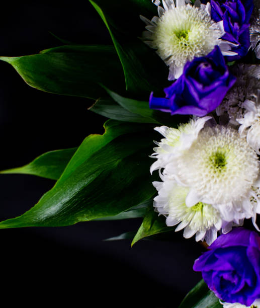 istock Eustoma flowers on a black background. White and purple eustoma flowers on a black background. Place for an inscription. 1406700807