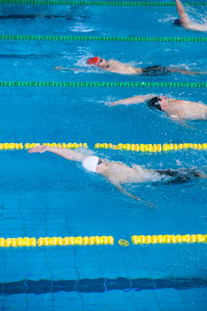 istock Finish of the swimming competition 1406701406