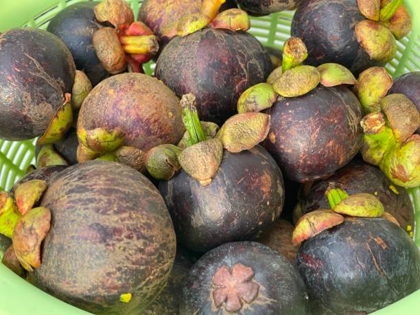 istock Close up textures of skin mangosteens 1406703817