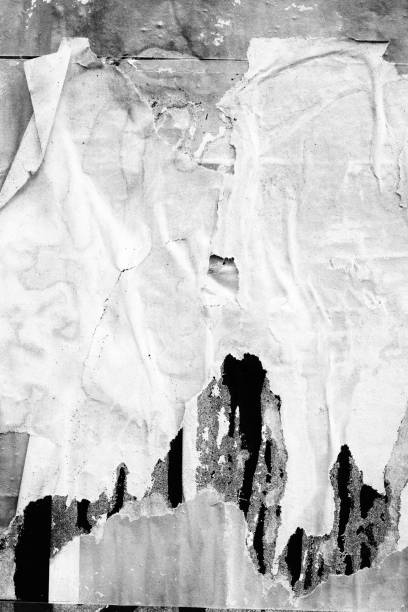 istock Blank white black old ripped torn paper crumpled creased posters grunge textures backdrop backgrounds placard 1406704528