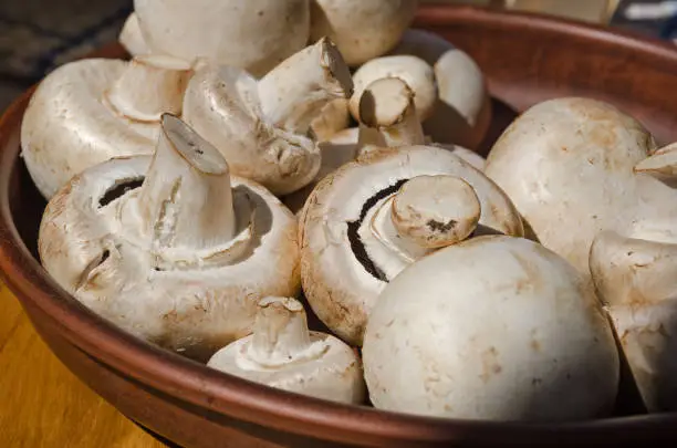 Photo of Fresh champignon mushrooms on a ceramic plate, close-up.