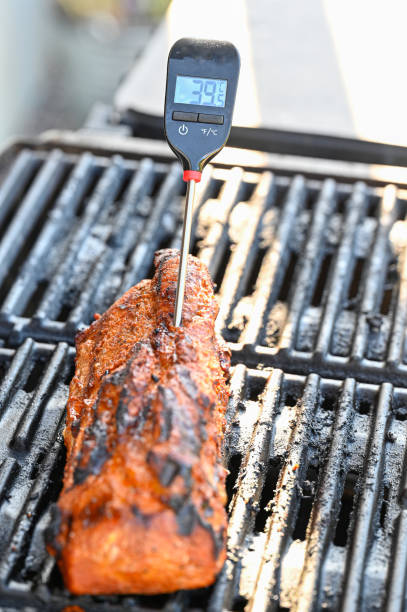 istock meat thermometer in pork tenderloin on grill 1406705678