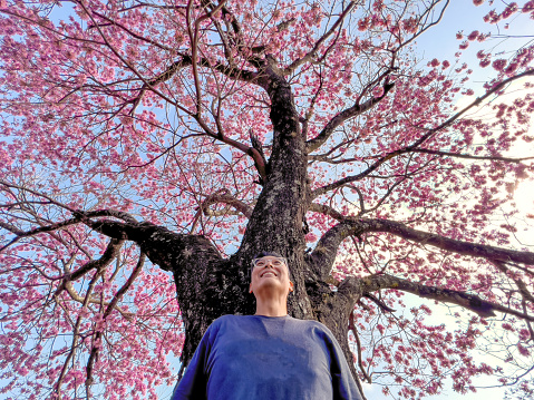 Man under a large flowering tree. Taken By iPhone 13 Pro Max. Edited by Adobe Lightroom, Adobe Photoshop and Nick Collection.