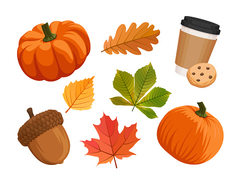 Auturmn set in cartoon vector style. Group of autumn objects isolated on white background. Pumpkin, latte, cookie, leaves, acorn.