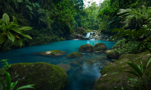 istock Costa Rica rainforest 1406707088
