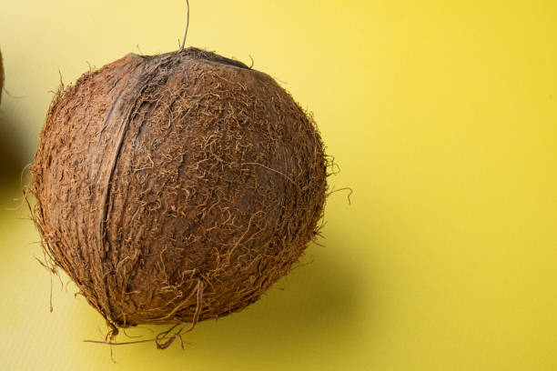 istock Freshly harvested coconut, on yellow textured summer background 1406707197