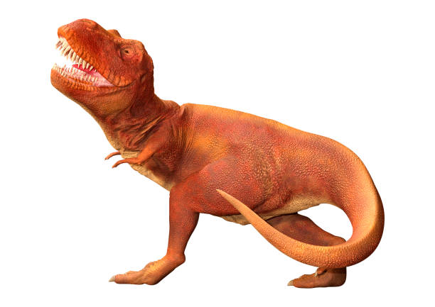 Extinction event, Dinosaurs, Cretaceous–Paleogene extinction event approx. 66 millions years ago.