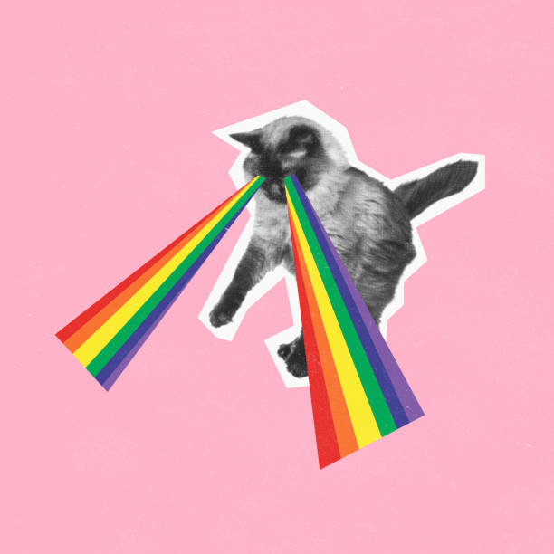 Contemporary art collage. Conceptual image. Cat with rainbow light from eyes isolated pink background. LGBTQIA support. Concept of freedom, human rights, social issues, creativity, acceptance, ad
