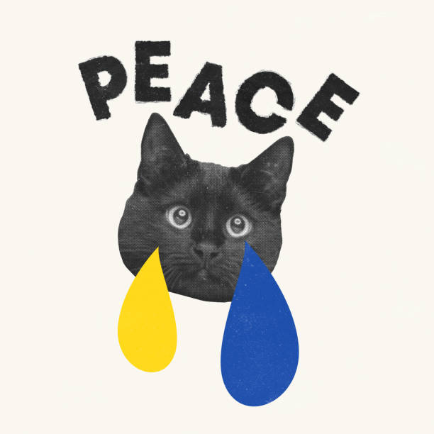 Contemporary art collage. Conceptual image with crying cat praying for peace. Save Ukraine from war. Concept of freedom, human rights, social issues, creativity, acceptance, ad