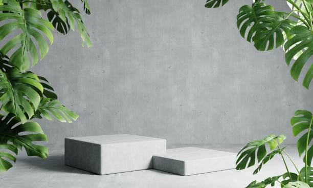 istock Two rectangle podiums in grey loft color background with Monstera plant foreground. Abstract wallpaper template element and architecture interior object concept.3D illustration rendering 1406714361