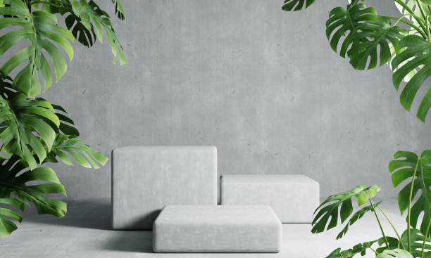 istock Three rectangle podiums in grey loft color background with Monstera plant foreground. Abstract wallpaper template element and architecture interior object concept.3D illustration rendering 1406714384