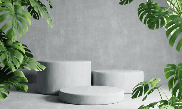 istock Three round podiums in grey loft color background with Monstera plant foreground. Abstract wallpaper template element and architecture interior object concept.3D illustration rendering 1406714419