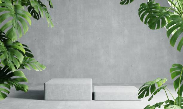 istock Two rectangle podiums in grey loft color background with Monstera plant foreground. Abstract wallpaper template element and architecture interior object concept.3D illustration rendering 1406715610
