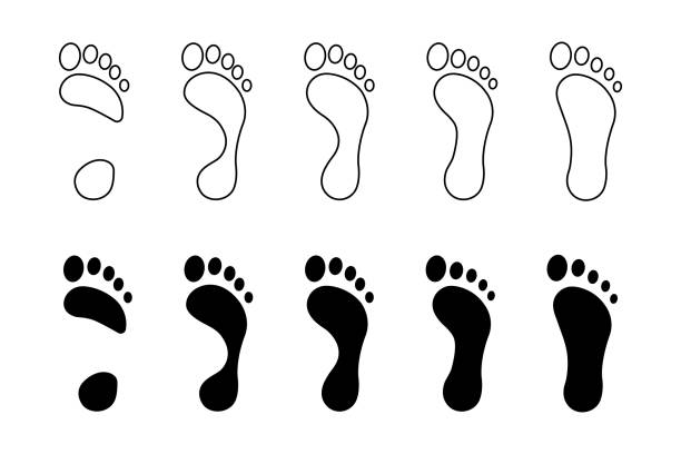 풋 프린트 아이콘 세트. 인간의 발자국 벡터 기호. - human footprint stock illustrations