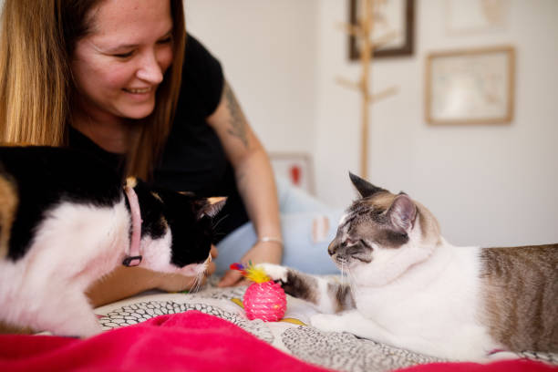 istock Happy woman bonding with her cats 1406717009