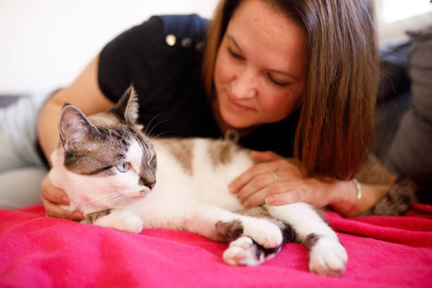 istock Woman bonding with cat lying down 1406717056
