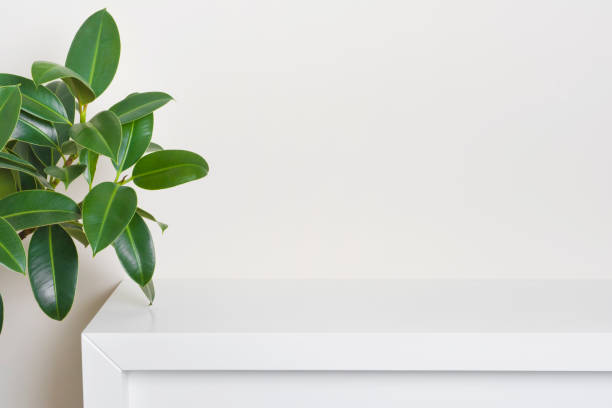 istock White electric fire table with green leaves for product display 1406720289