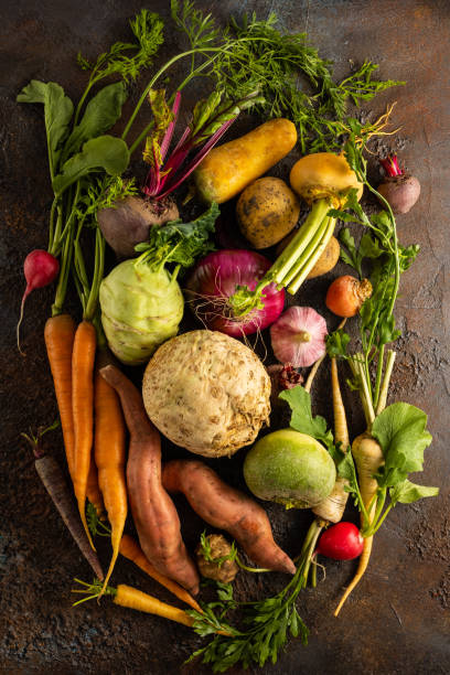 テクスチャの背景に野菜や根菜類の品揃え。秋の収穫。健康食品とベジタリアンのコンセプト。 - kohlrabi on food ripe ストックフォトと画像