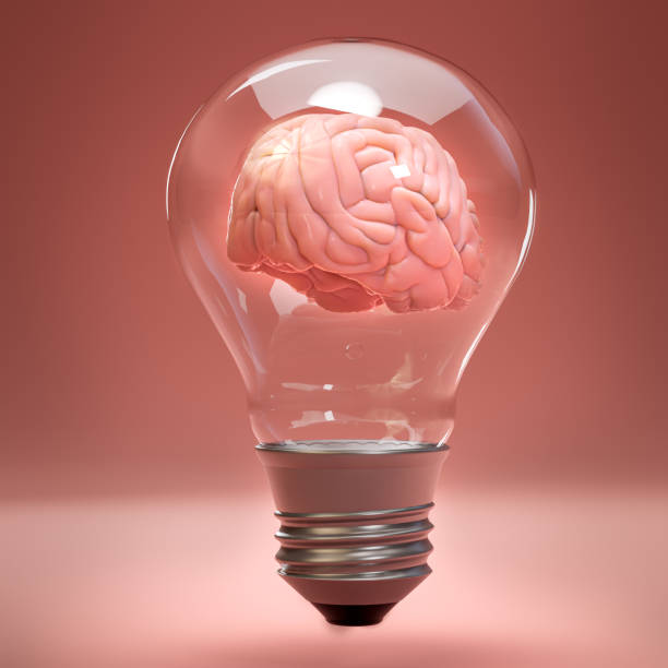 istock Human brain inside of incandescent light bulb. Concept of inspiritation, creativity, idea, education, innovation and energy. 3D rendering. 1406728697