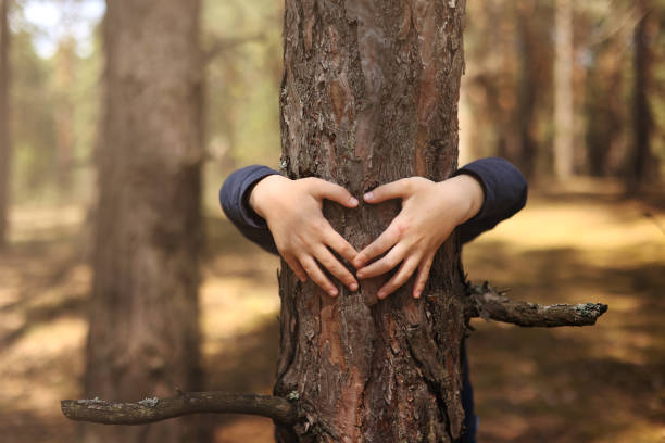 istock Child hug a tree in forest. Concept of global problem of carbon dioxide and global warming.Child's hands making a heart shape on a tree trunk. Love of nature. Hands around the trunk of a tree. 1406728752