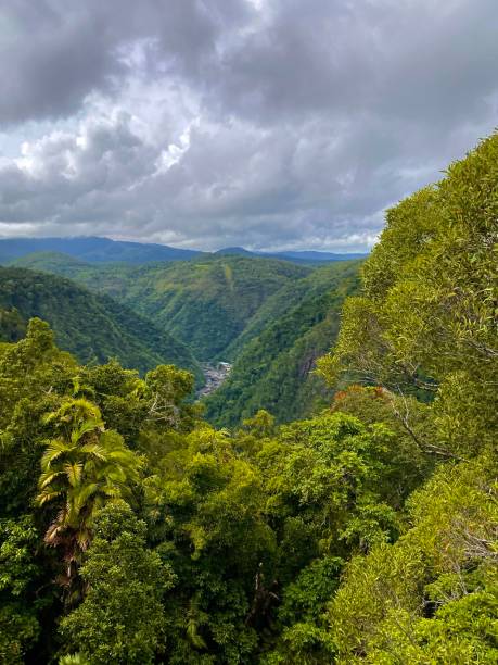 istock Wild nature on australia 1406731506