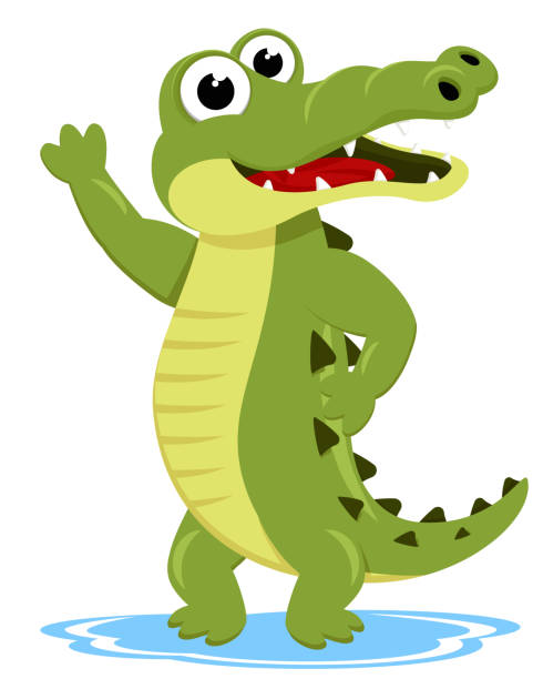 ilustraciones, imágenes clip art, dibujos animados e iconos de stock de cocodrilo se para, sonríe y saluda sobre un fondo blanco. carácter - alligator