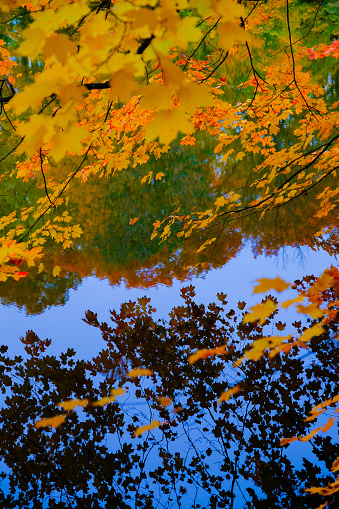 Autumn, Maine, Lake, Famous Place, Mount Desert Island