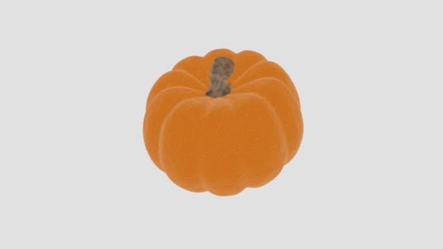 3d render. Pumpkin. Animation of autumn pumpkin. 3d rendering