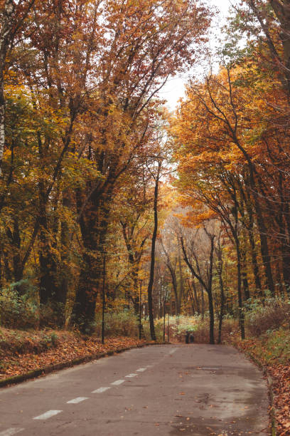 istock people walking outdoors by autumn city park 1406734748