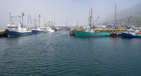Fishing boats in fog at the St. John’s Harbour