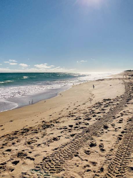 istock Tire marks in the sand at beach on sunny day 1406736198