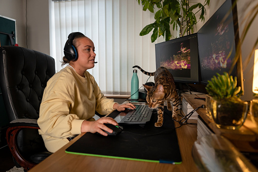 A side-view shot of a young woman sitting at a desk playing a video game, she is using a mouse and keyboard and wearing a headset. Her bengal cat is with her, on her desk.