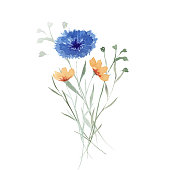 istock Wildflowers. Watercolor bouquet. Decoration for your design. 1406741454