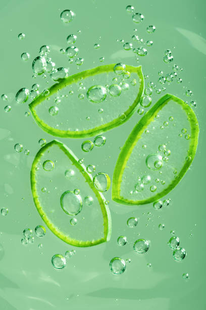 istock Aloe vera slice texture with gel on blue background. 1406744001