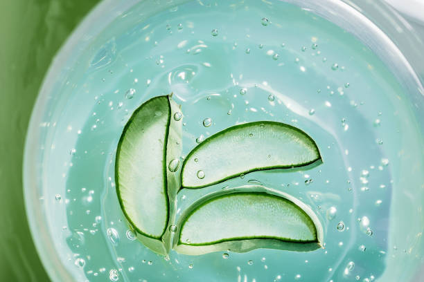 istock Aloe vera slice texture with gel on blue background. 1406744100