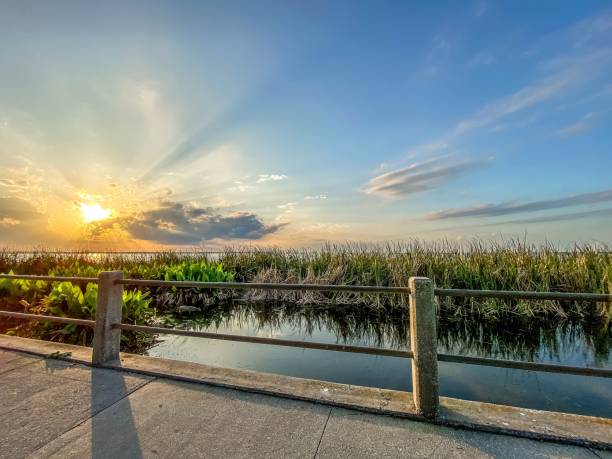 istock View from a boardwalk of the sun setting over a lake in Florida 1406744592