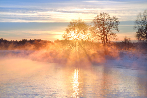 Sunny winter landscape at sunrise in foggy morning. Warm golden sunlight lights through tree in fog on water.