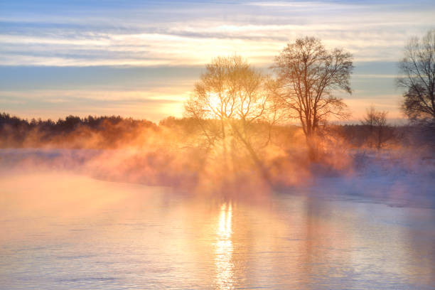 Sunny winter landscape at sunrise in foggy morning. Warm golden sunlight lights through tree in fog on water. Sunny winter landscape at sunrise in foggy morning. Warm golden sunlight lights through tree in fog on water. belarus stock pictures, royalty-free photos & images