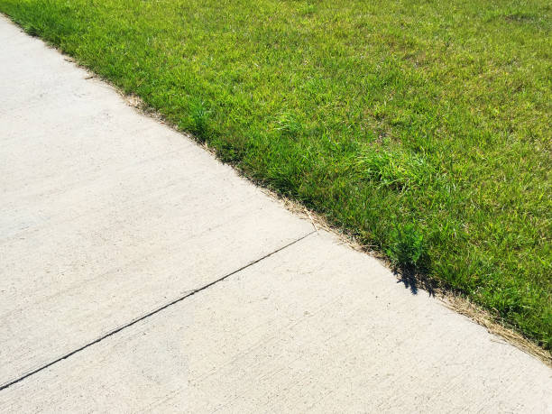 istock Grass and concrete floor, garden footpath 1406745926