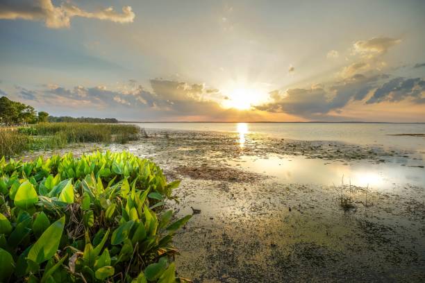 istock Brilliant sunset between clouds over Lake Apopka in Florida 1406750563