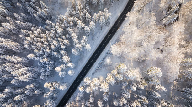 istock Road through the wintery forest 1406752853