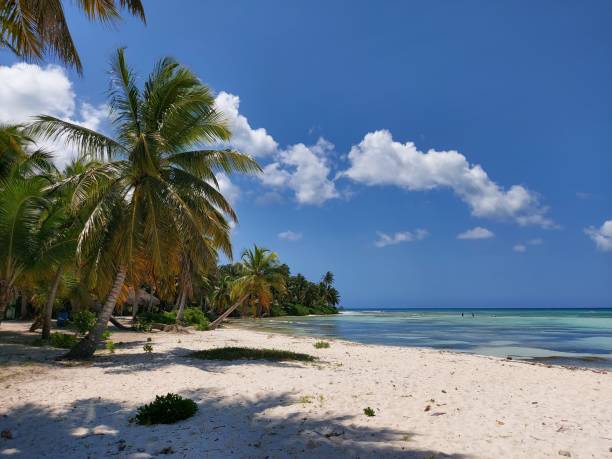 istock Beach paradise with sand and palm trees 1406757797