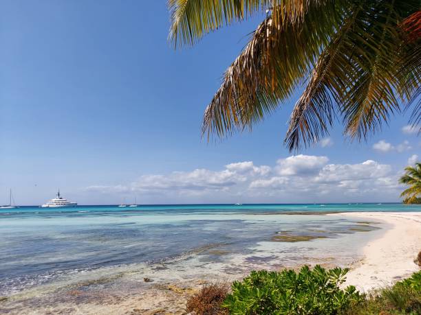 istock Beach paradise on the sea coast with palm tree 1406757902