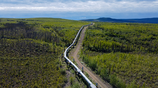 A view of the Trans-Alaska Oil Pipeline with Summer Colors